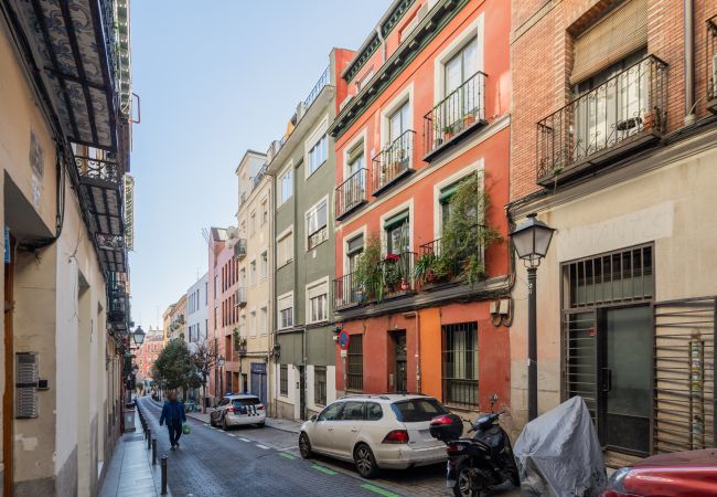 Apartamento en Madrid - COZY APARTMENT PLAZA DE LAVAPIES DE ALQUILER TEMPORAL Apartamento en Madrid - COZY APARTMENT PLAZA DE LAVAPIES DE ALQUILER TEMPORAL
