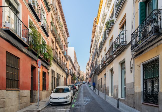 Apartamento en Madrid - COZY APARTMENT PLAZA DE LAVAPIES DE ALQUILER TEMPORAL Apartamento en Madrid - COZY APARTMENT PLAZA DE LAVAPIES DE ALQUILER TEMPORAL