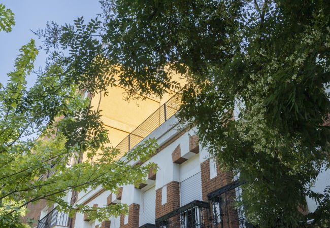 Apartamento en Madrid - apartamento reformado para 6 personas de alquiler temporal Apartamento en Madrid - apartamento reformado para 6 personas de alquiler temporal