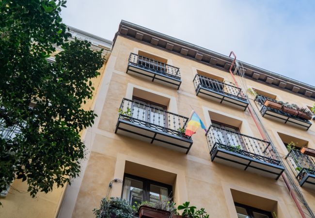 Apartamento en Madrid - gran apartamento en lavapies de alquiler temporal Apartamento en Madrid - gran apartamento en lavapies de alquiler temporal