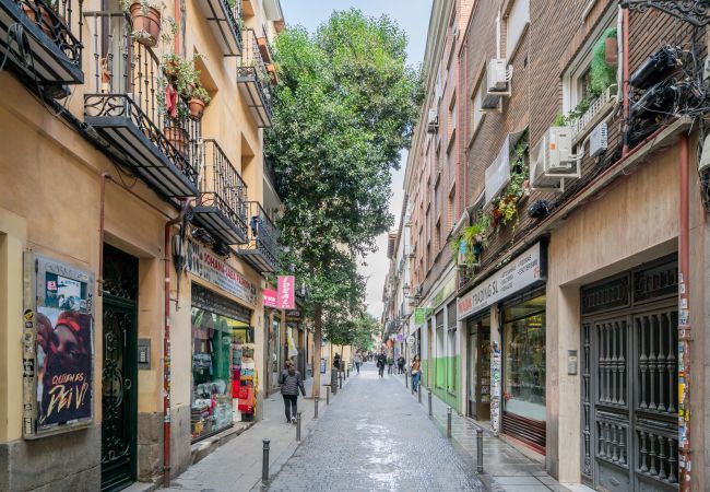 Apartamento en Madrid - gran apartamento en lavapies de alquiler temporal Apartamento en Madrid - gran apartamento en lavapies de alquiler temporal