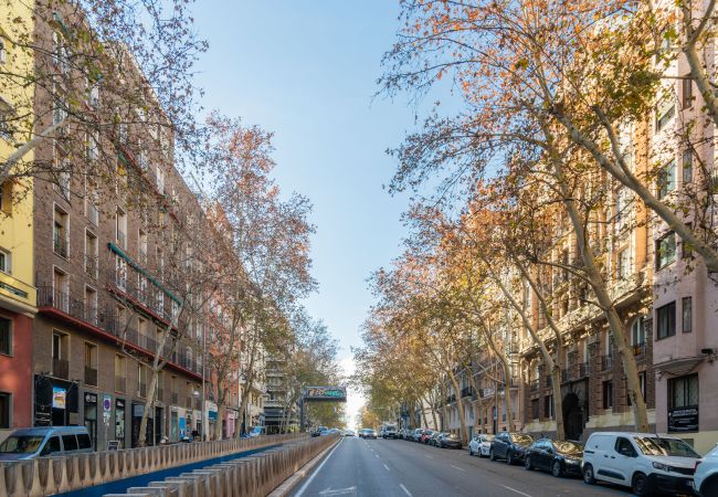 Apartamento en Madrid - apartamento para personas 6 en la calle Velazquez de alquiler temporal Apartamento en Madrid - apartamento para personas 6 en la calle Velazquez de alquiler temporal
